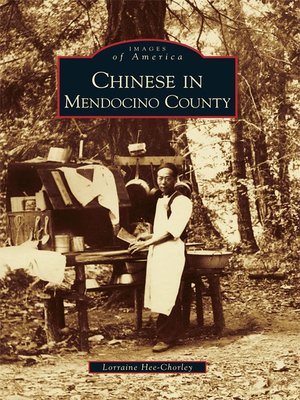 cover image of Chinese in Mendocino County